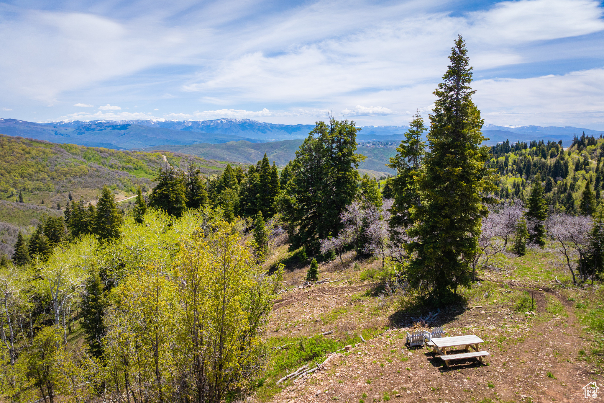 PINE MEADOW RANCH - Residential