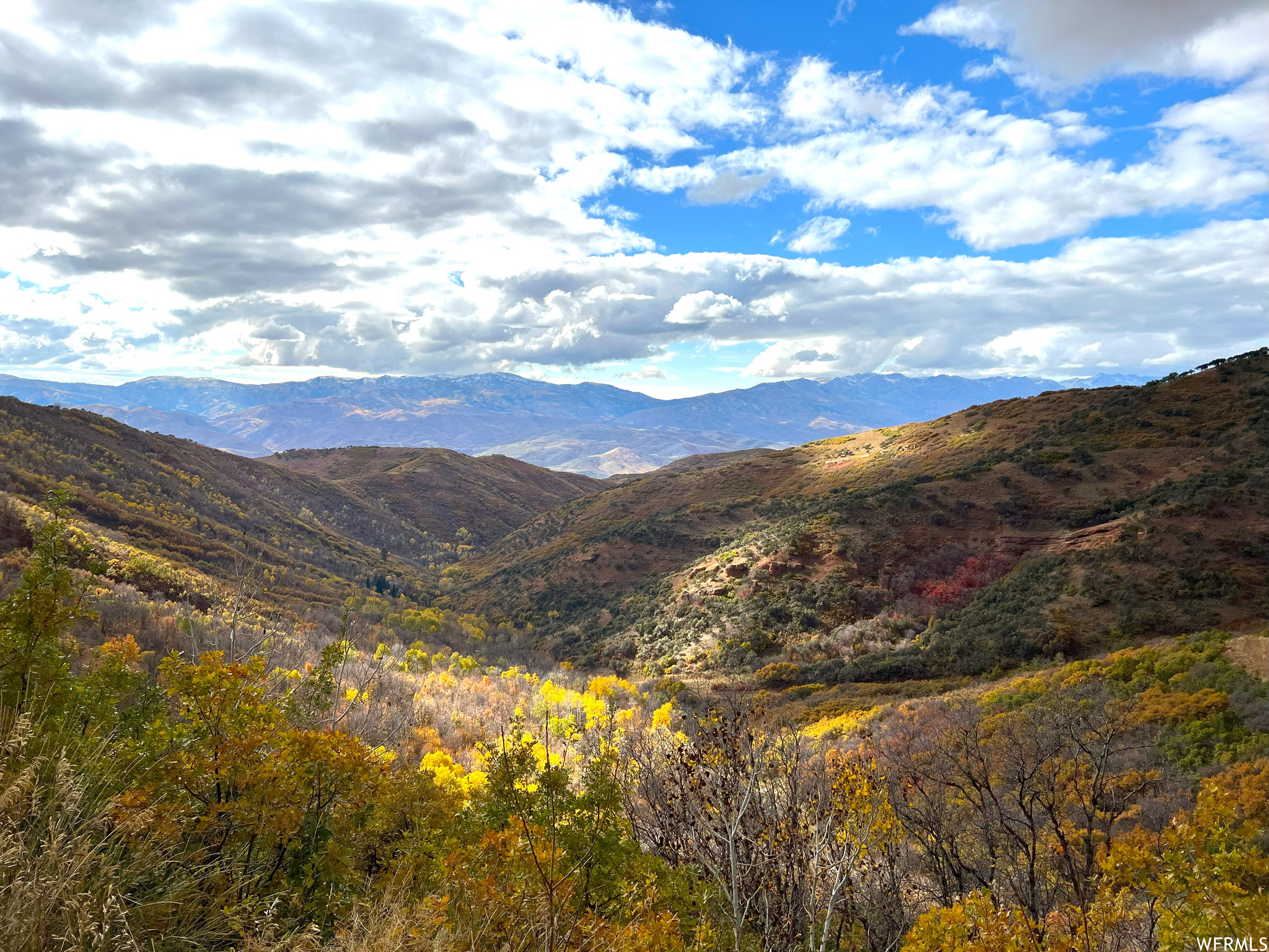 Offering a spectacular 5,000-acre working cattle ranch located less than an hour's drive from Main Street in Park City.  Build up to 2  legacy mountain estates on this property which is accessible year-round and features an incredible combination of rolling grassland, spectacular canyons and dramatic ridgelines.  Located off East Canyon Road in Morgan County and not far from the popular ski areas of Snowbasin and Powder Mountain.  The ranch offers complete privacy and solitude and is surrounded by a large neighboring ranch to the east in addition to the expansive 3,600-acre East Canyon Wildlife Management Area at its southern border. East Canyon Ranch is host to grazing horses and cattle from springtime through late summer/fall. Valuable stock watering rights associated with the ranch are included with the sale of the property.  An ideal equestrian property with available boarding and training facilities is adjacent to the ranch entry. The entirety of the property being offered for sale is under a conservation agreement with a local land conservancy.  The agreement allows a new owner to build 2 residences with accompanying garages and outbuildings.  The ranch hosts a variety of wildlife, including deer, elk, and turkey plus a variety of smaller mammals and raptors.   Numerous springs, year-round streams, and small ponds are located throughout the property.  The ranch is also part of a highly coveted Cooperative Wildlife Management Unit (CWMU). This private hunting unit provides guaranteed buck deer and bull elk tags to the property's owner.   Endless opportunities exist to explore meadows, draws, canyons, and ridgelines on foot, bike, or horseback.  A yurt complex at the highest elevation on the ranch offers dramatic 365-degree views of surrounding mountain ranges.