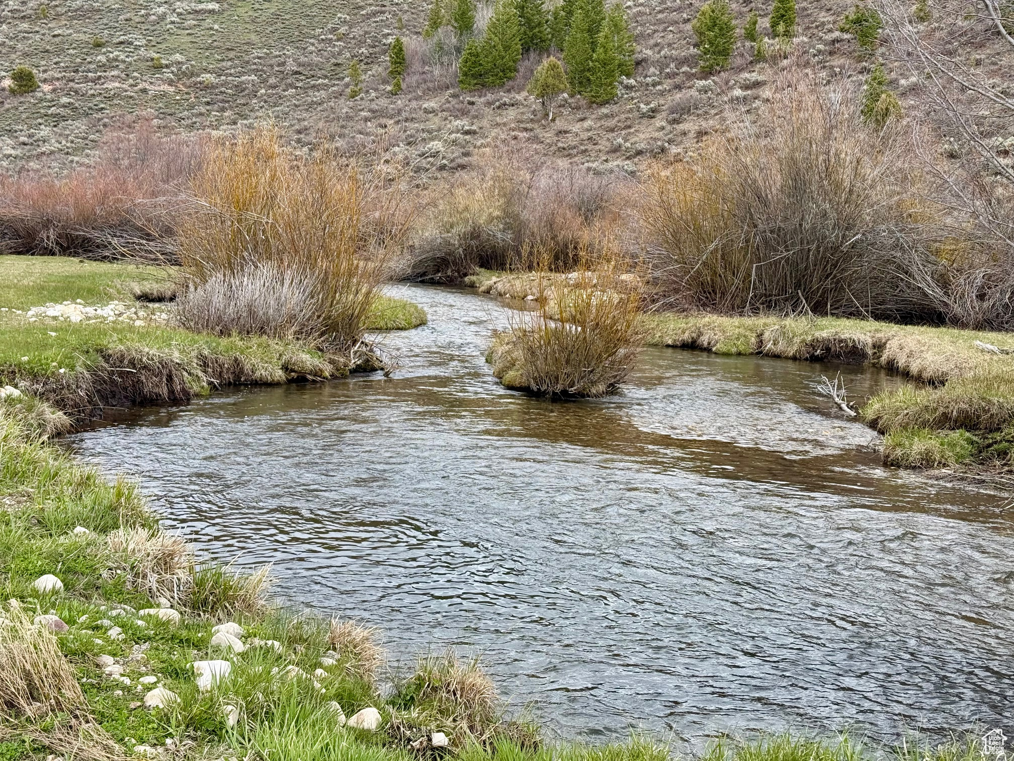 BLOOMINGTON HOLLOW RANCHS - Land