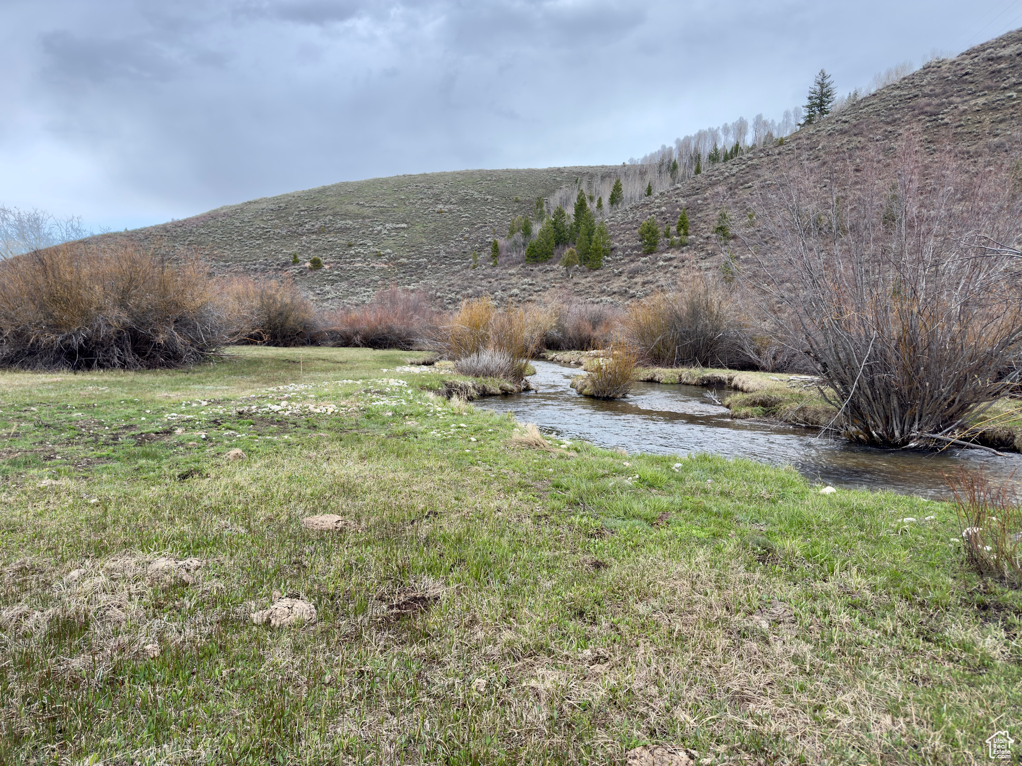 BLOOMINGTON HOLLOW RANCHS - Land