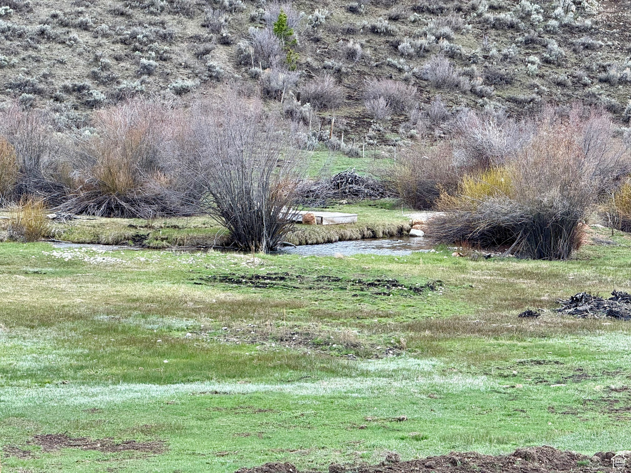 BLOOMINGTON HOLLOW RANCHS - Land