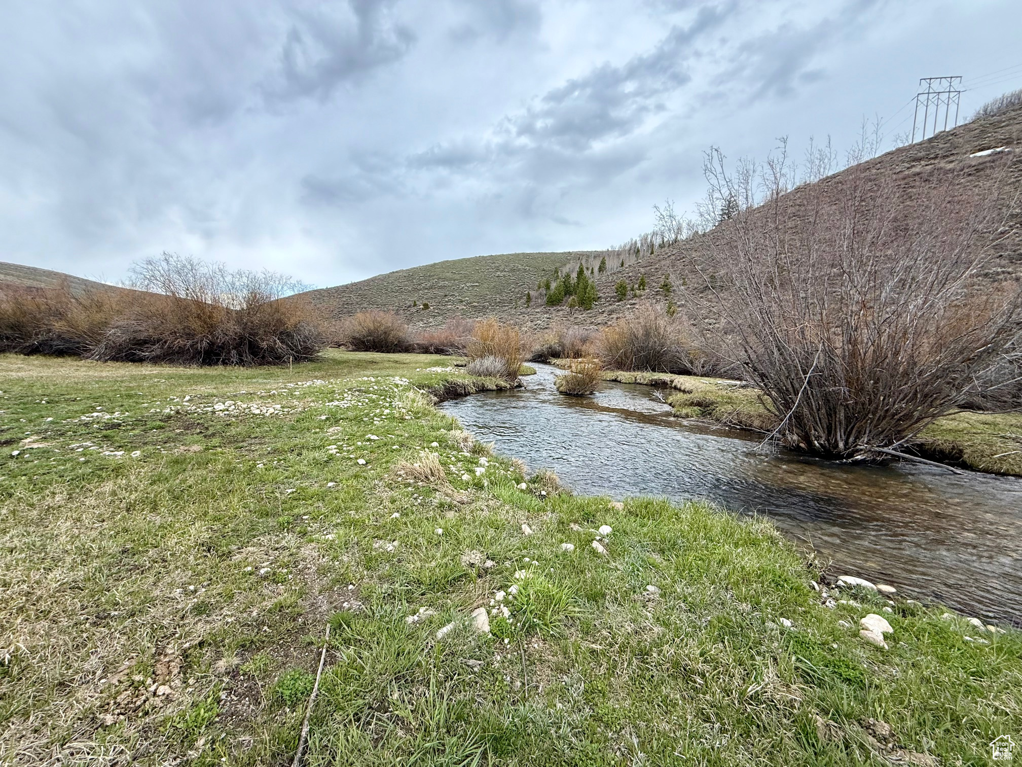 BLOOMINGTON HOLLOW RANCHS - Land