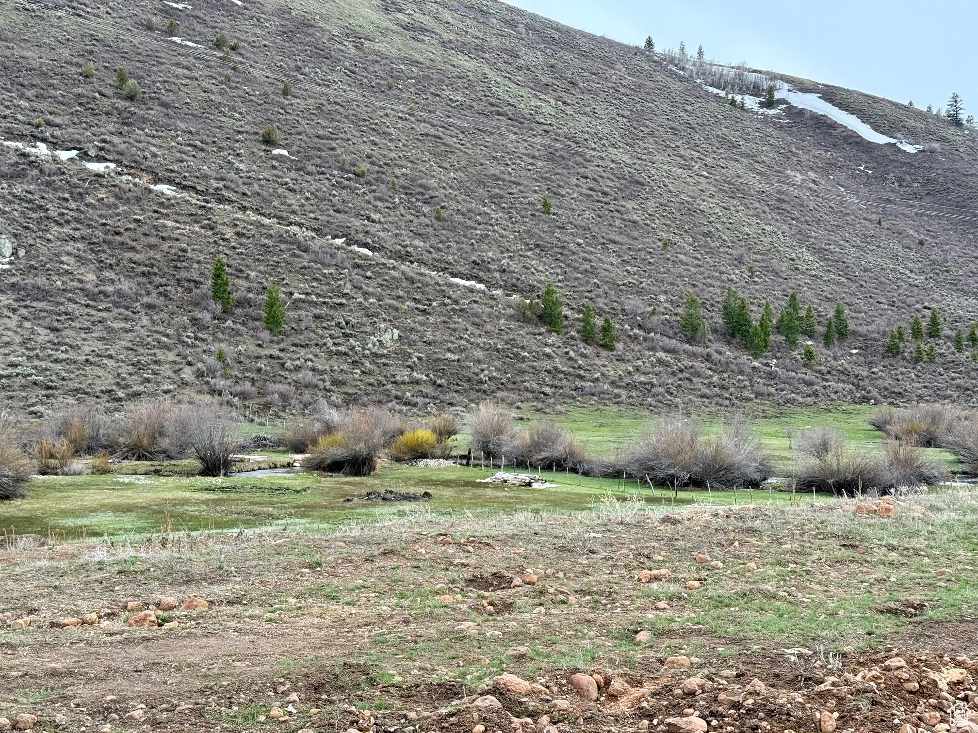 BLOOMINGTON HOLLOW RANCHS - Land