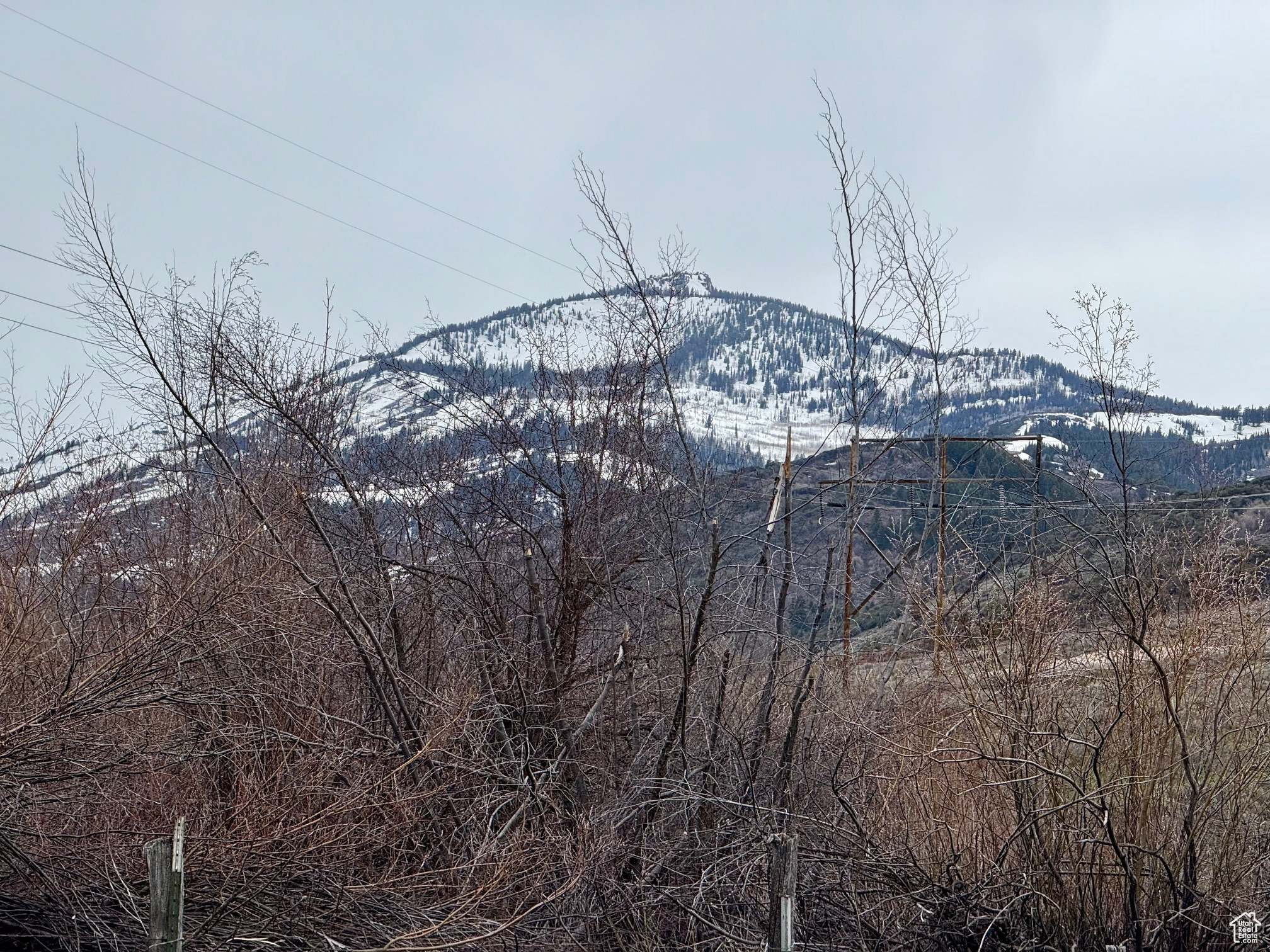 BLOOMINGTON HOLLOW RANCHS - Land