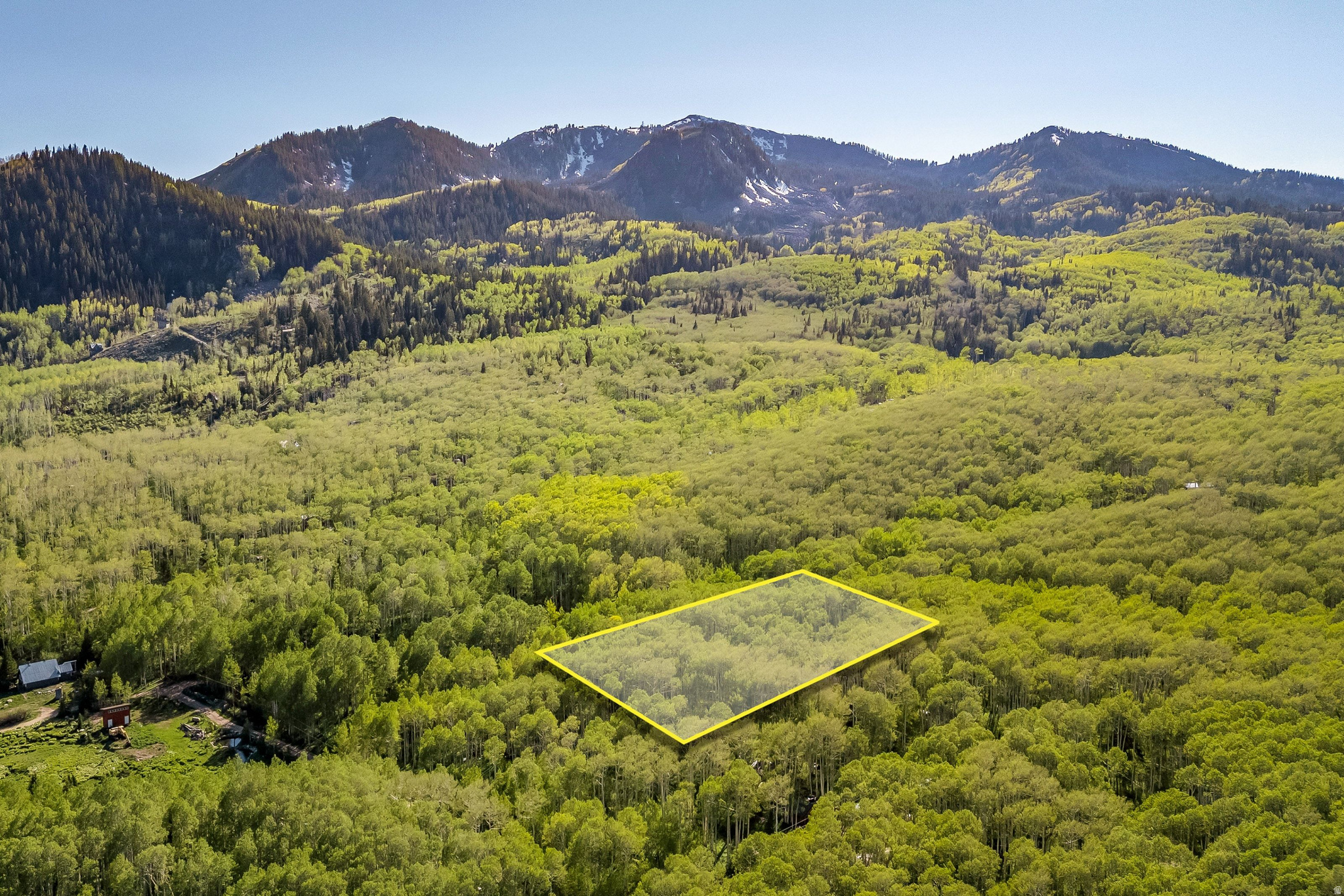 Expansive wooded parcel featuring mature deciduous and evergreen trees, with surrounding mountainous terrain