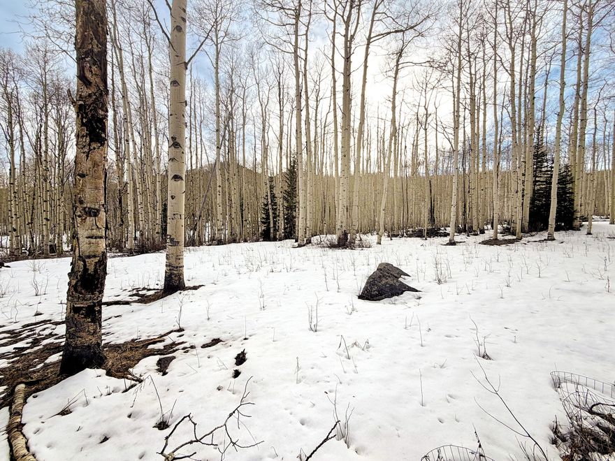 Build your mountain retreat in a quaking aspen grove surrounded by wildlife and nature just over the back slope of Deer Valley Resort. This is a rare opportunity to purchase a private, flat lot in Brighton Estates. Just shy of a half acre, the property offers ample flexibility for your mountain home's design and creativity.  This setting offers both convenience and adventure, with easy proximity to the main paved road leading to Park City, Big Cottonwood Canyon, and the Heber Valley, and close access to the renowned Bonanza Flats protected open space.  Brighton Estates is known for its incredible trail access - hiking and biking through wildflowers in summer and golden aspens in fall - with seasonal access to Midway, Deer Valley, and Park City. In winter, when the road closes, the neighborhood transforms into your own quiet snow globe, accessible only by snowmobile, with exceptional backcountry skiing, snowshoeing, and a true mountain community experience.