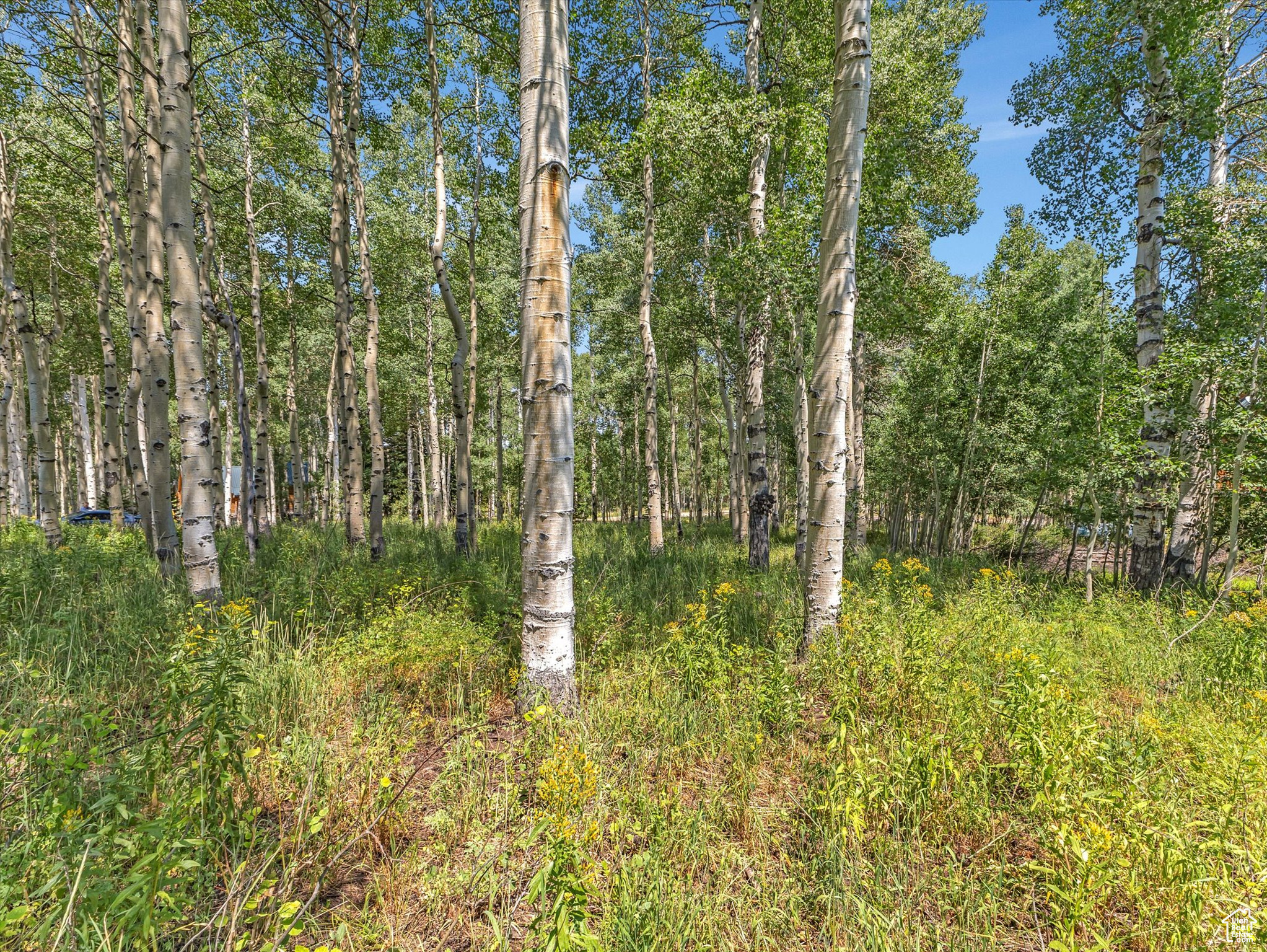 TIMBER LAKES PLAT 20 - Land
