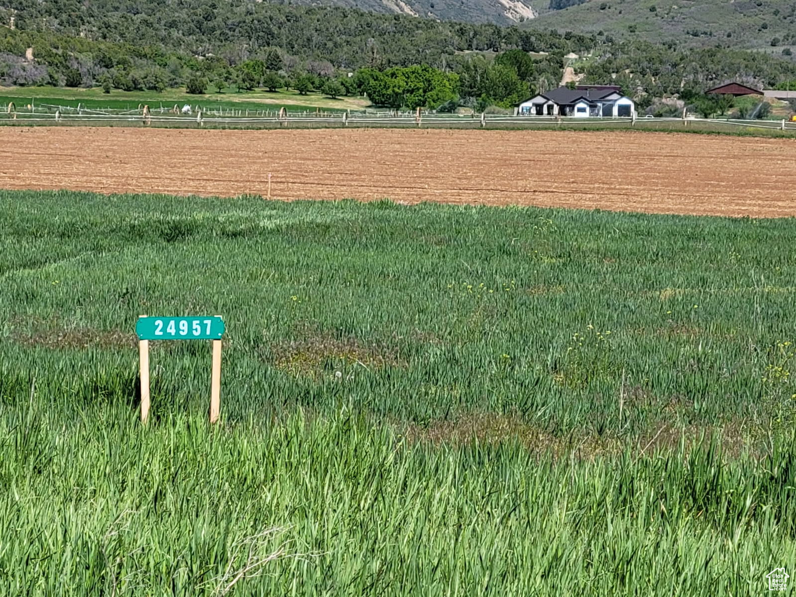 Wake up to panoramic views of the stunning Manti-LaSal Mountains right outside your window. This prime homesite at the mouth of Fairview Canyon includes 1 acre-foot water right for a well, 1 share of Cottonwood Gooseberry irrigation water, and power stubbed to the property. No HOA just wide-open skies and endless possibilities