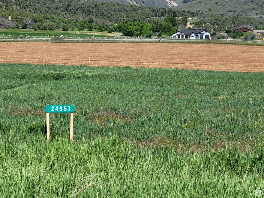 Wake up to panoramic views of the stunning Manti-LaSal Mountains right outside your window. This prime homesite at the mouth of Fairview Canyon includes 1 acre-foot water right for a well, 1 share of Cottonwood Gooseberry irrigation water, and power stubbed to the property. No HOA  just wide-open skies and endless possibilities