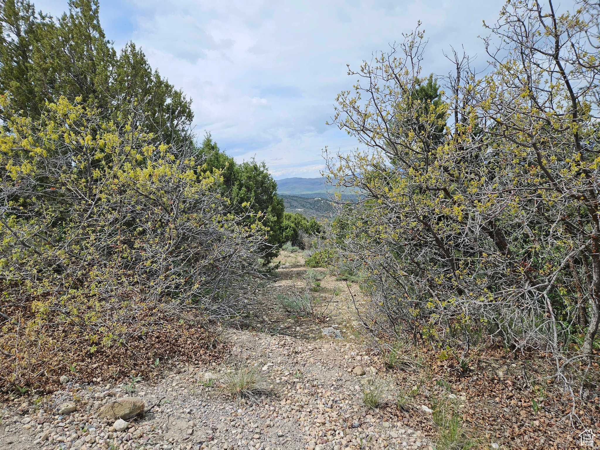 HIDEAWAY VALLEY - Land