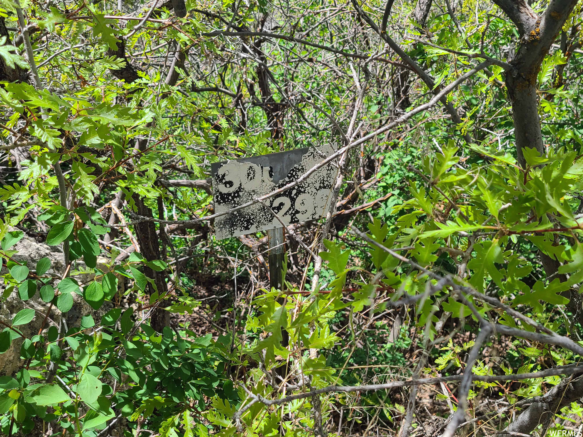 HIDEAWAY VALLEY - Land