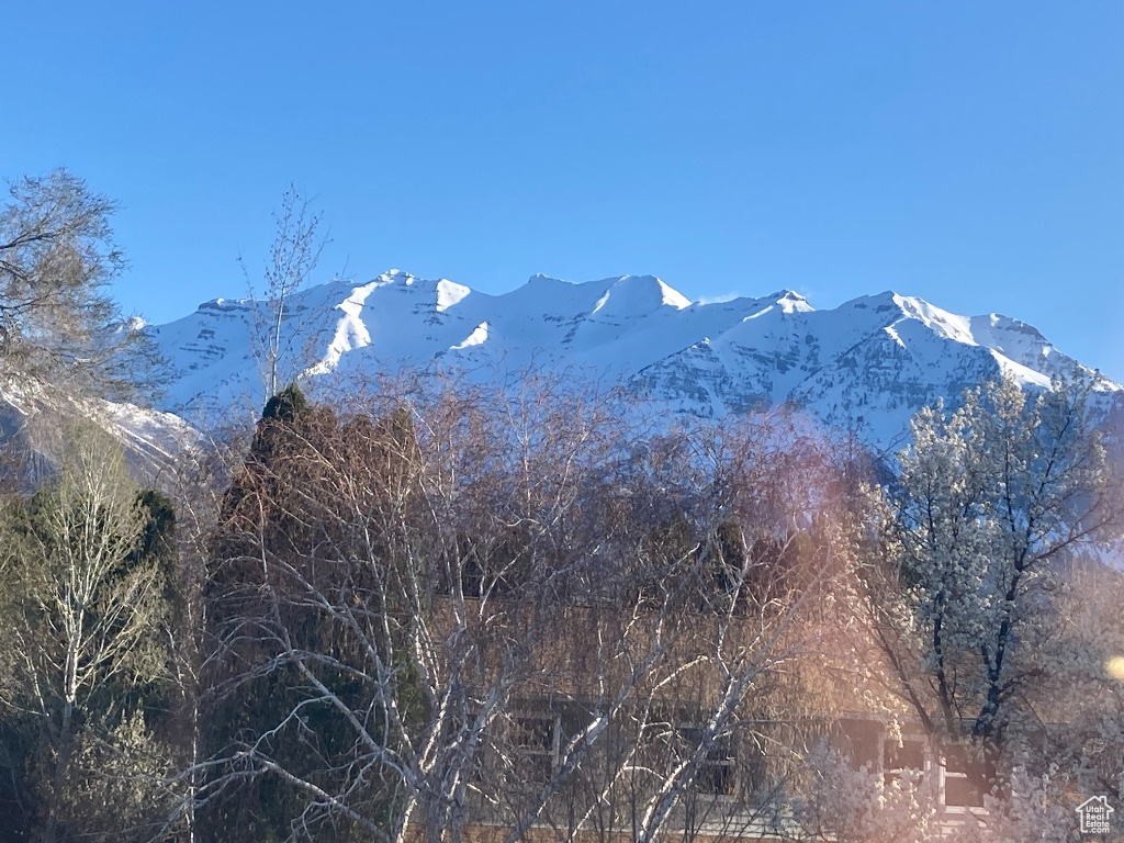 970 E 315, Orem, Utah image 25