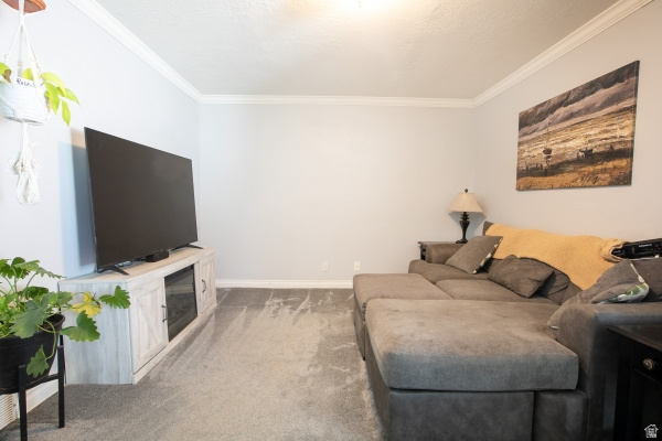 MISTY HILLS 11-B - Residential