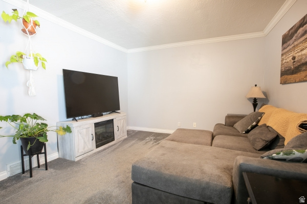 MISTY HILLS 11-B - Residential