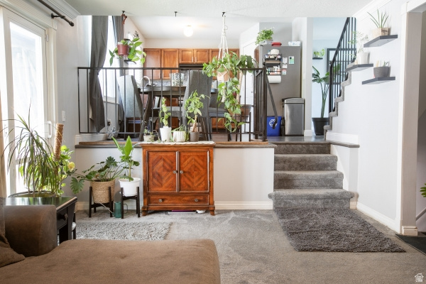 MISTY HILLS 11-B - Residential