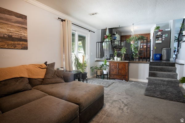 MISTY HILLS 11-B - Residential