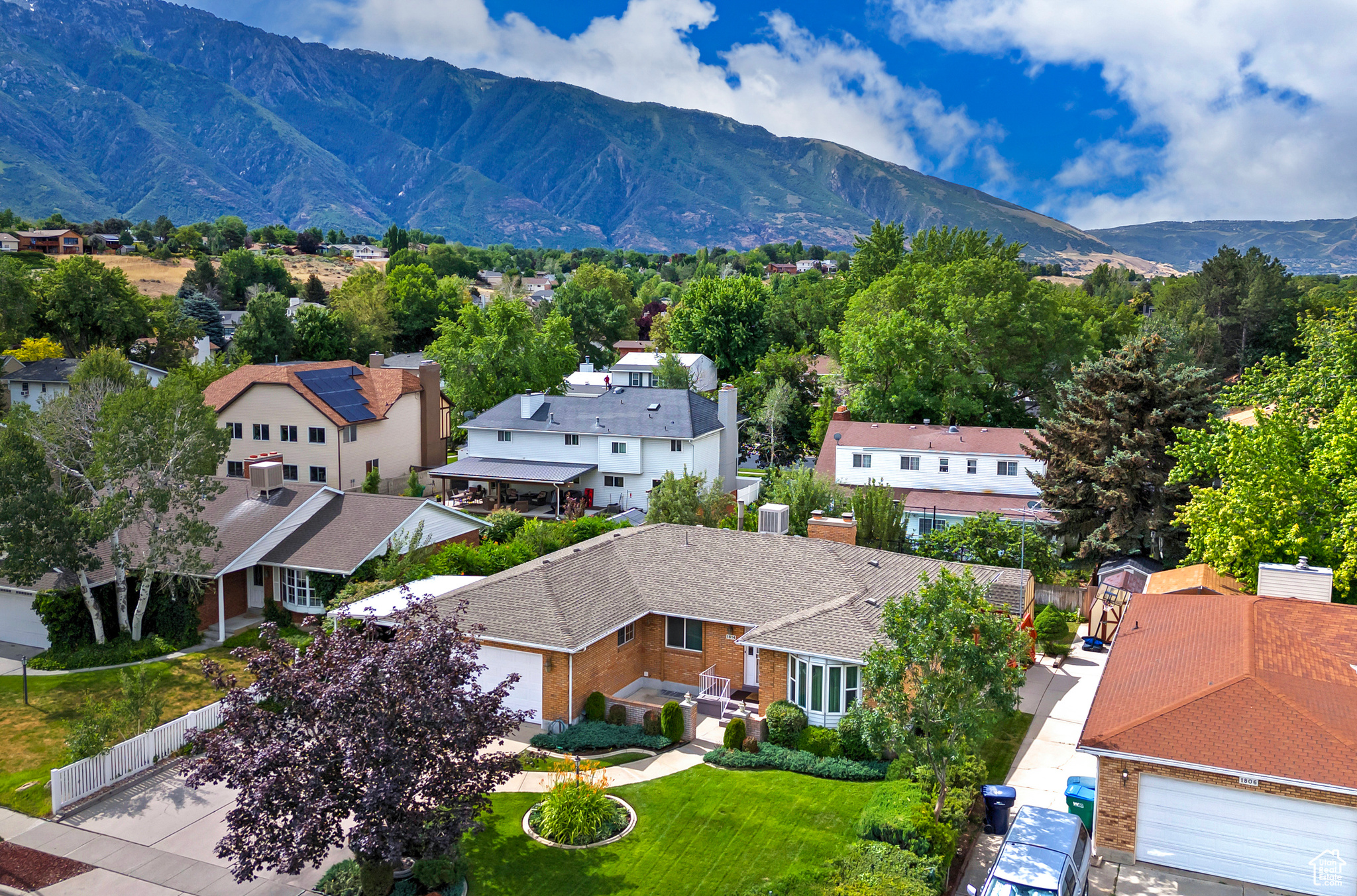 WILDFLOWER - Residential