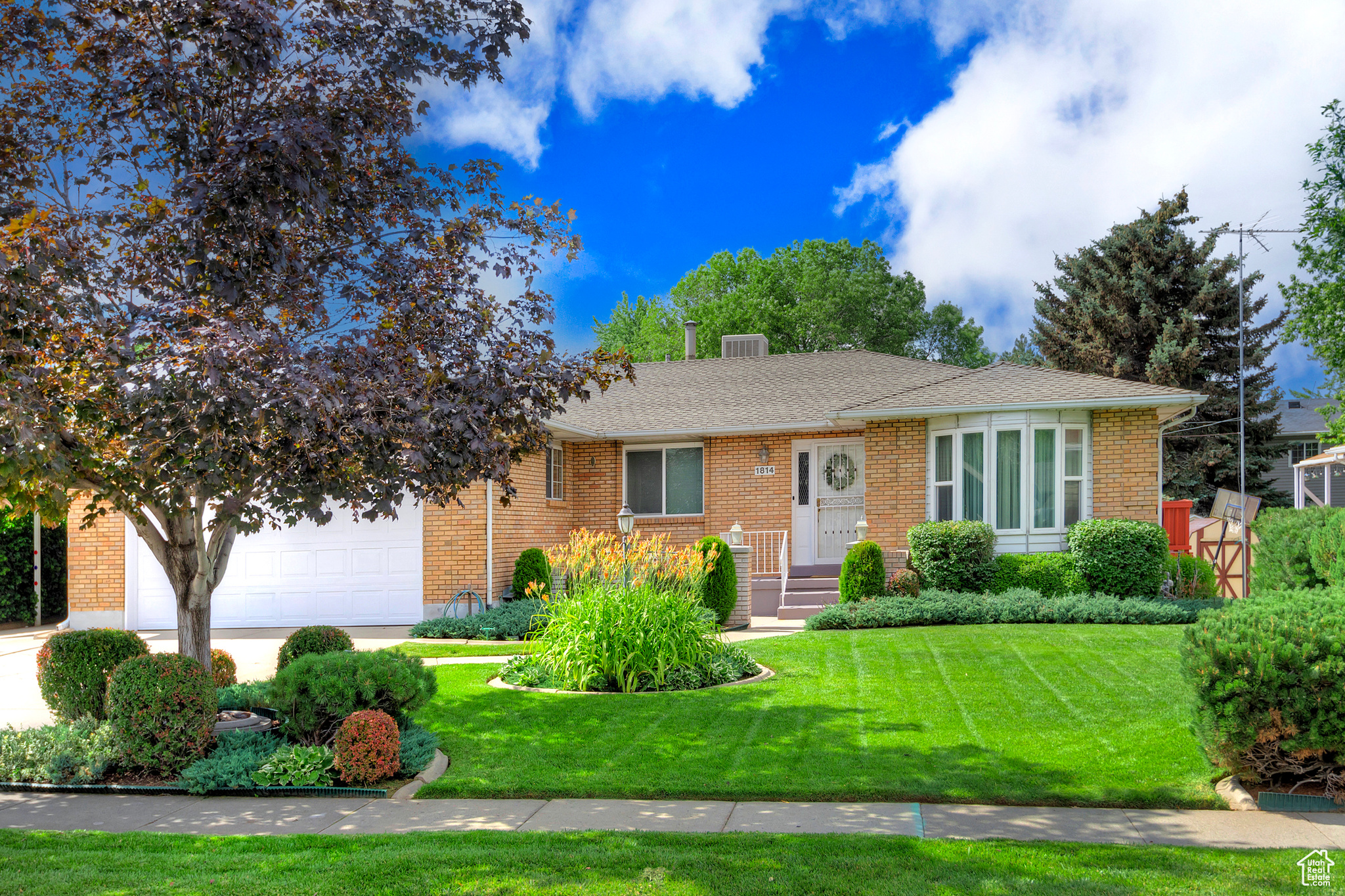 WILDFLOWER - Residential