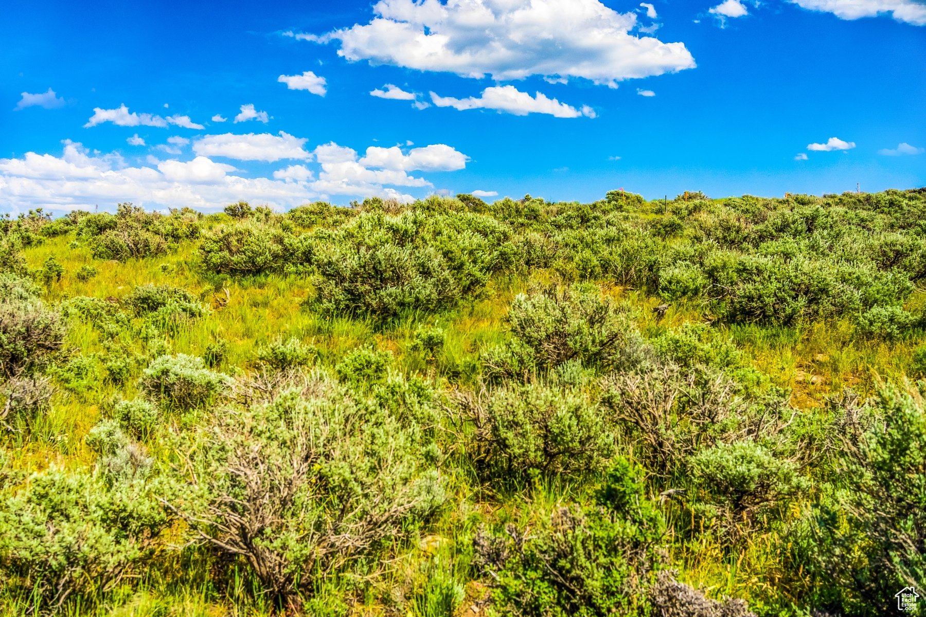 VISTA POINT - Residential