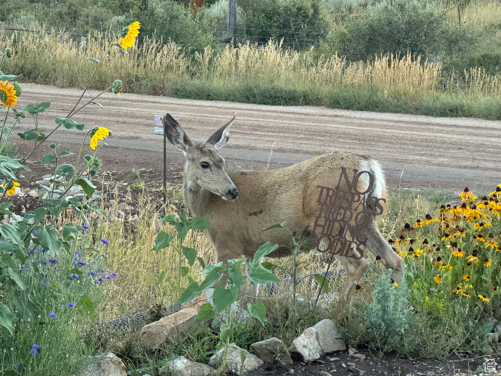 1197 N Trapper Loop #RV 61, Garden City, Utah image 8