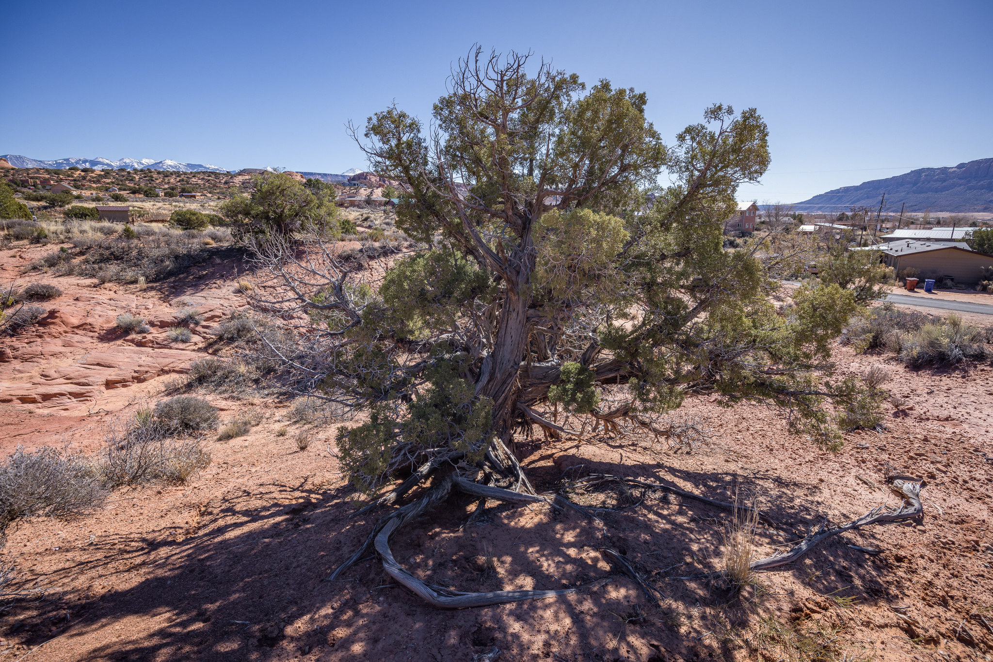 ARRAWARRA SUBDIVISION - Land