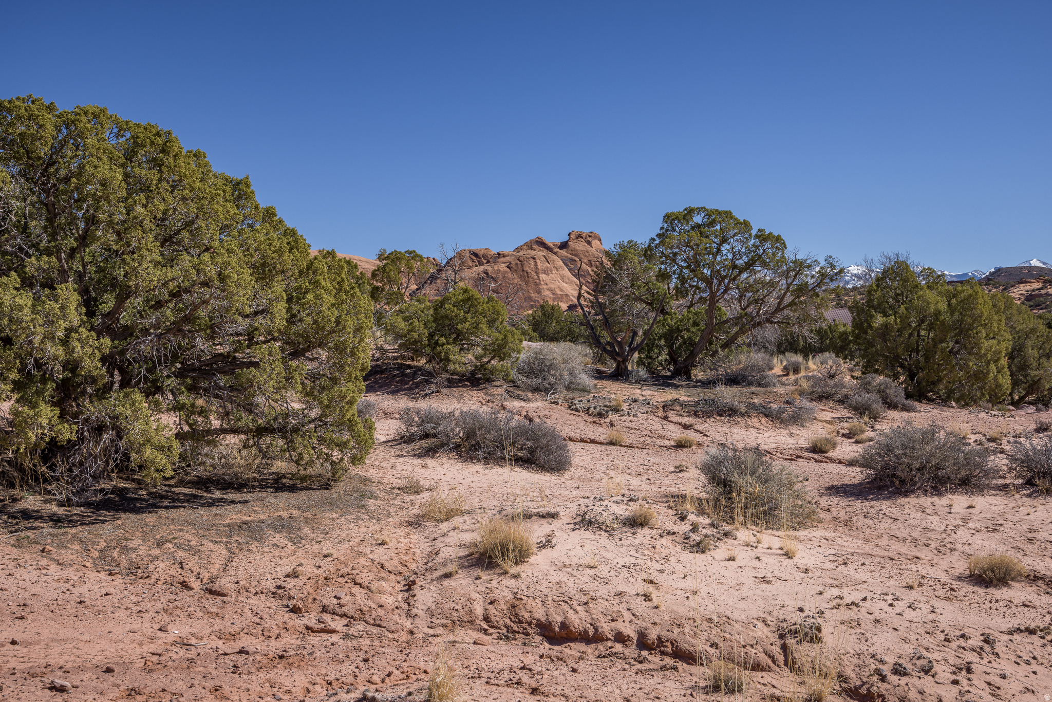 ARRAWARRA SUBDIVISION - Land