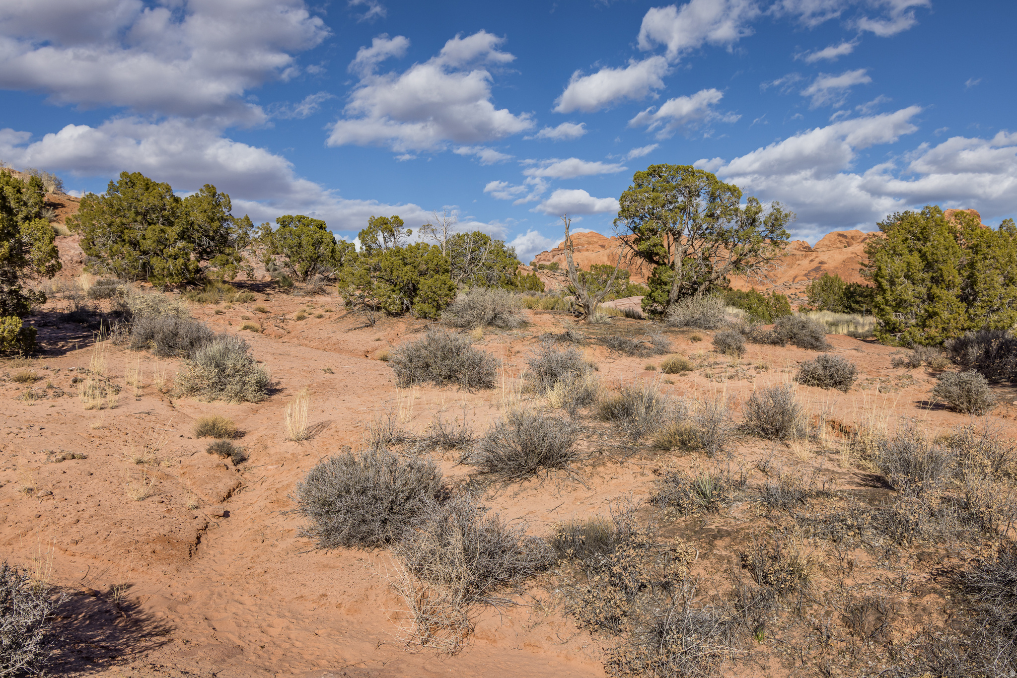 ARRAWARRA SUBDIVISION - Land