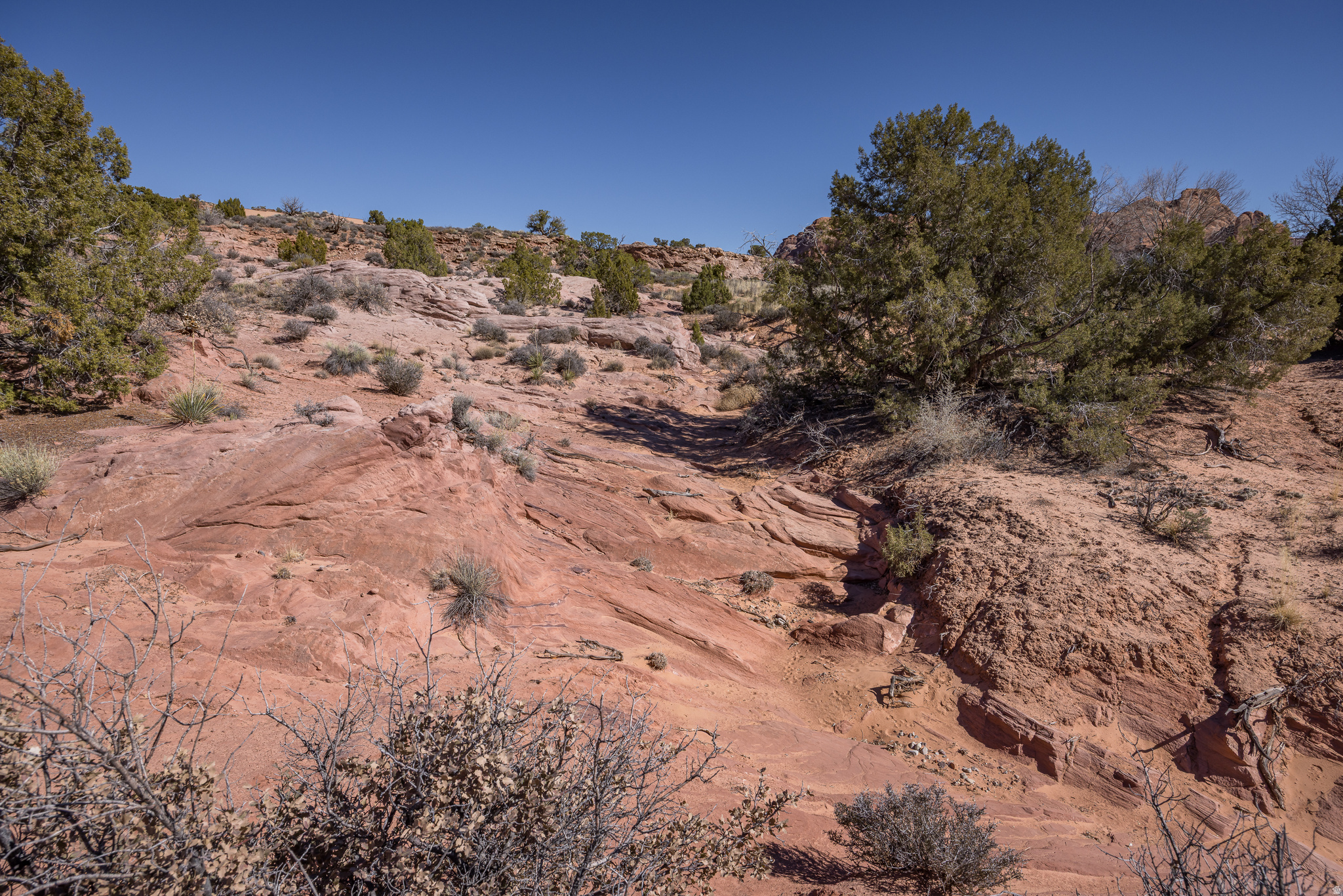 ARRAWARRA SUBDIVISION - Land