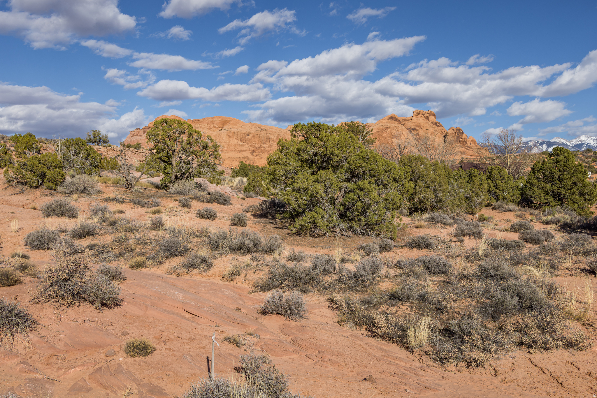 ARRAWARRA SUBDIVISION - Land