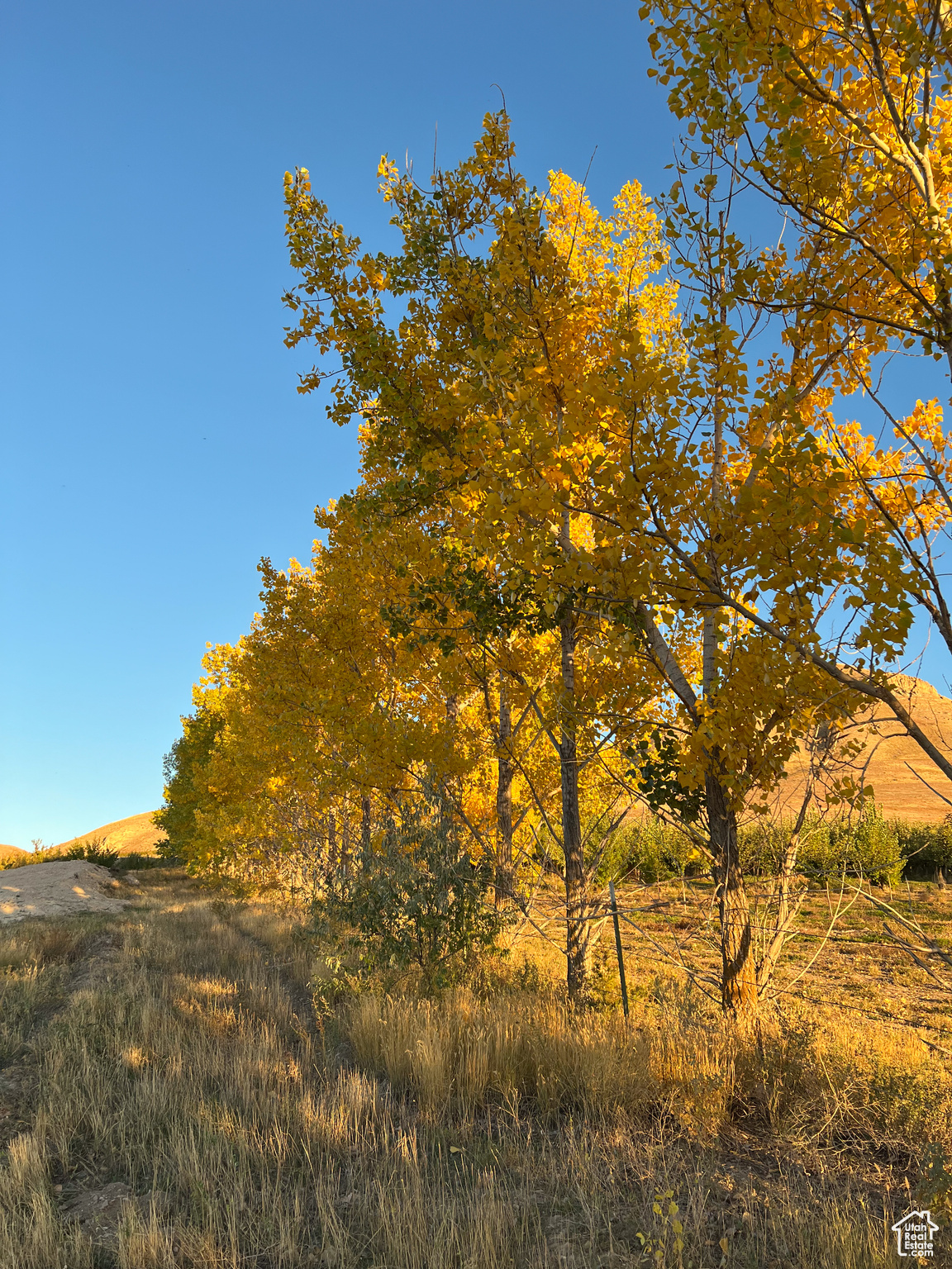 BAYVIEW - Land