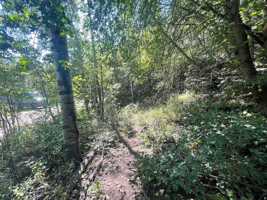 This heavily wooded .46 acre lot is located in Aspen Mountain, one of the last gated communities in Weber Canyon before Smith & Morehouse Reservoir; an iconic high elevation lake.   Immersed in nature and ideally positioned to capture the quiet tranquil setting surrounded by mature aspens and evergreens and directly across from the soothing presence of a neighborhood creek. Aspen Mountain residents enjoy exclusive access to a 16-acre common area bordering the Weber River, renowned for its Blue-Ribbon fly fishing.  Outdoor recreation abounds year-round. Just minutes away, Smith & Morehouse Reservoir offers fishing, boating, hiking, and wildlife viewing, while the surrounding Uinta National Forest provides endless trails to explore. In the winter, the area transforms into a hub for back country skiing and snowmobiling.  Whether you're seeking a serene weekend escape, a reprieve from the Salt Lake valley summer heat or an outdoor enthusiast's basecamp, this is an ideal opportunity at one of the lowest entry points on the market for the perfect combination of privacy, natural beauty, and year-round adventure.