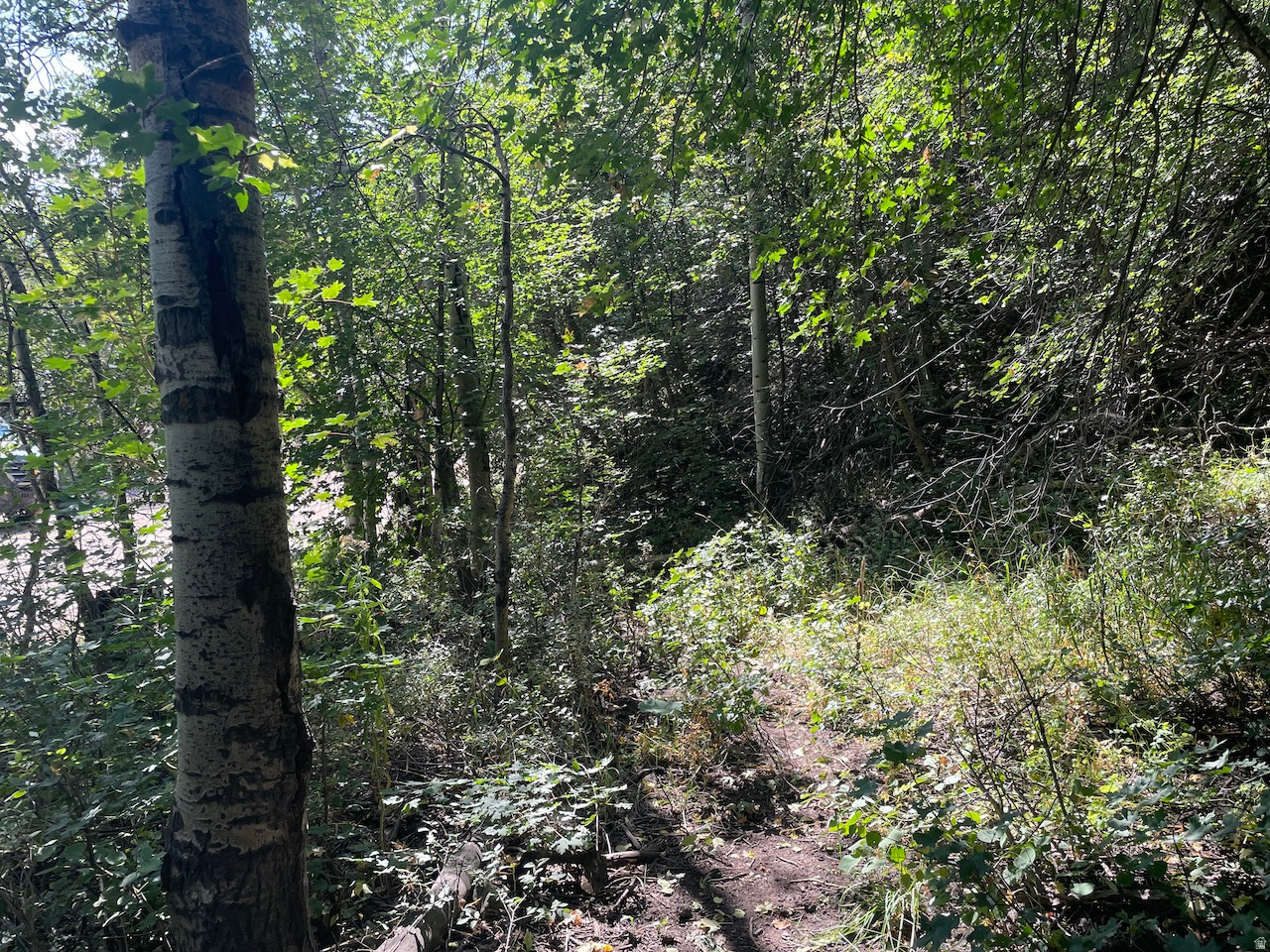 ASPEN MOUNTAIN - Land