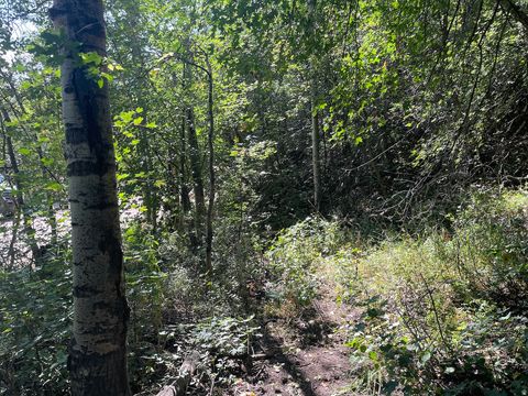 Tiny photo for 10337 N RIVER RD #123, Oakley, UT 84055 (MLS # 2154859)