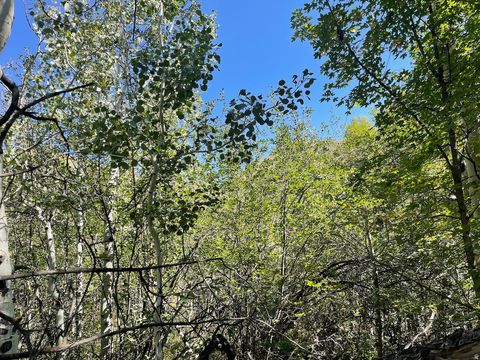 Tiny photo for 10337 N RIVER RD #123, Oakley, UT 84055 (MLS # 2154859)