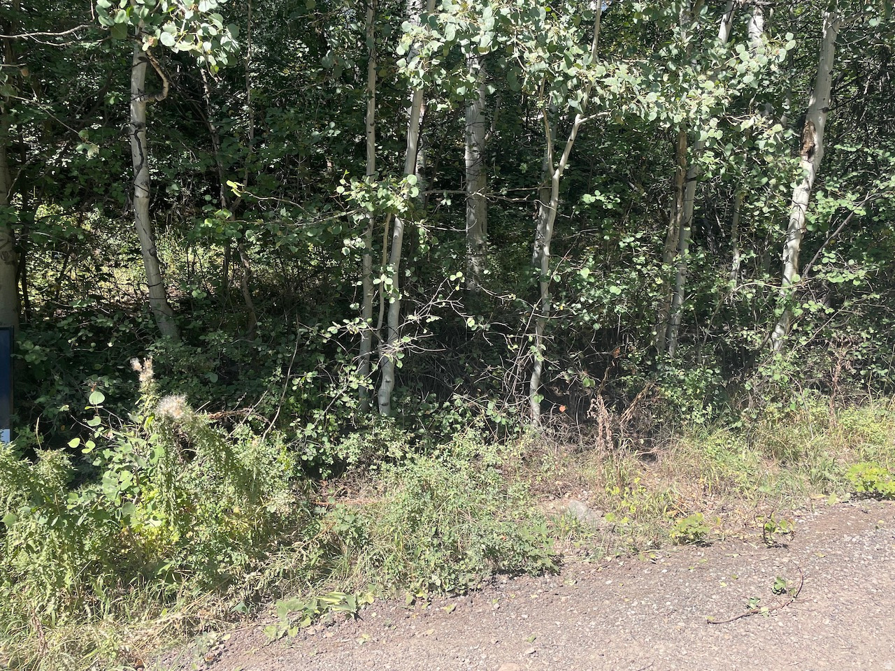 ASPEN MOUNTAIN - Land