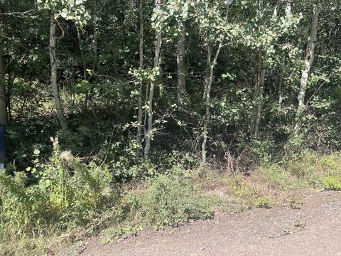 Tiny photo for 10337 N RIVER RD #123, Oakley, UT 84055 (MLS # 2154859)