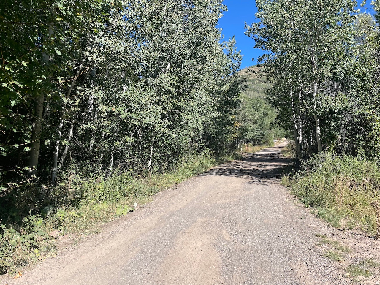 ASPEN MOUNTAIN - Land