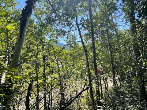 Tiny photo for 10337 N RIVER RD #123, Oakley, UT 84055 (MLS # 2154859)
