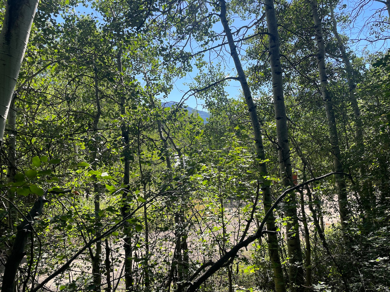 ASPEN MOUNTAIN - Land