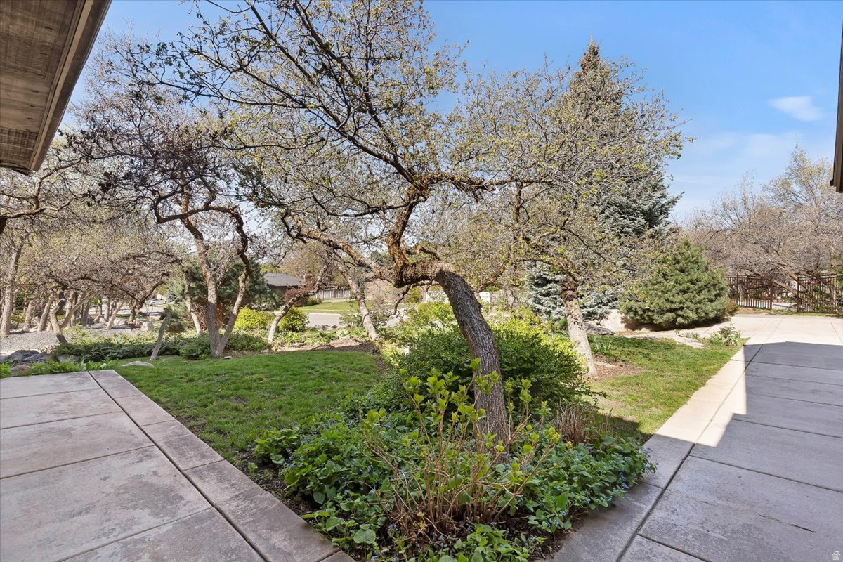 HIDDEN SHADOW ESTATE - Residential