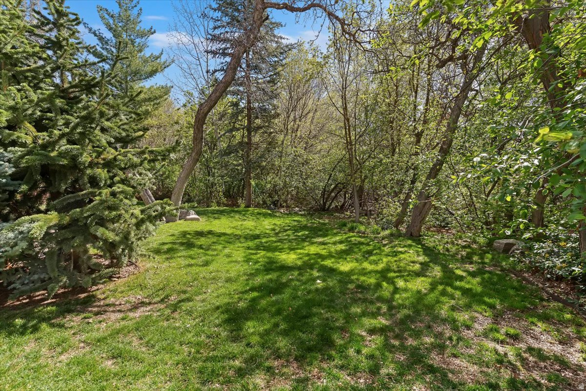 HIDDEN SHADOW ESTATE - Residential