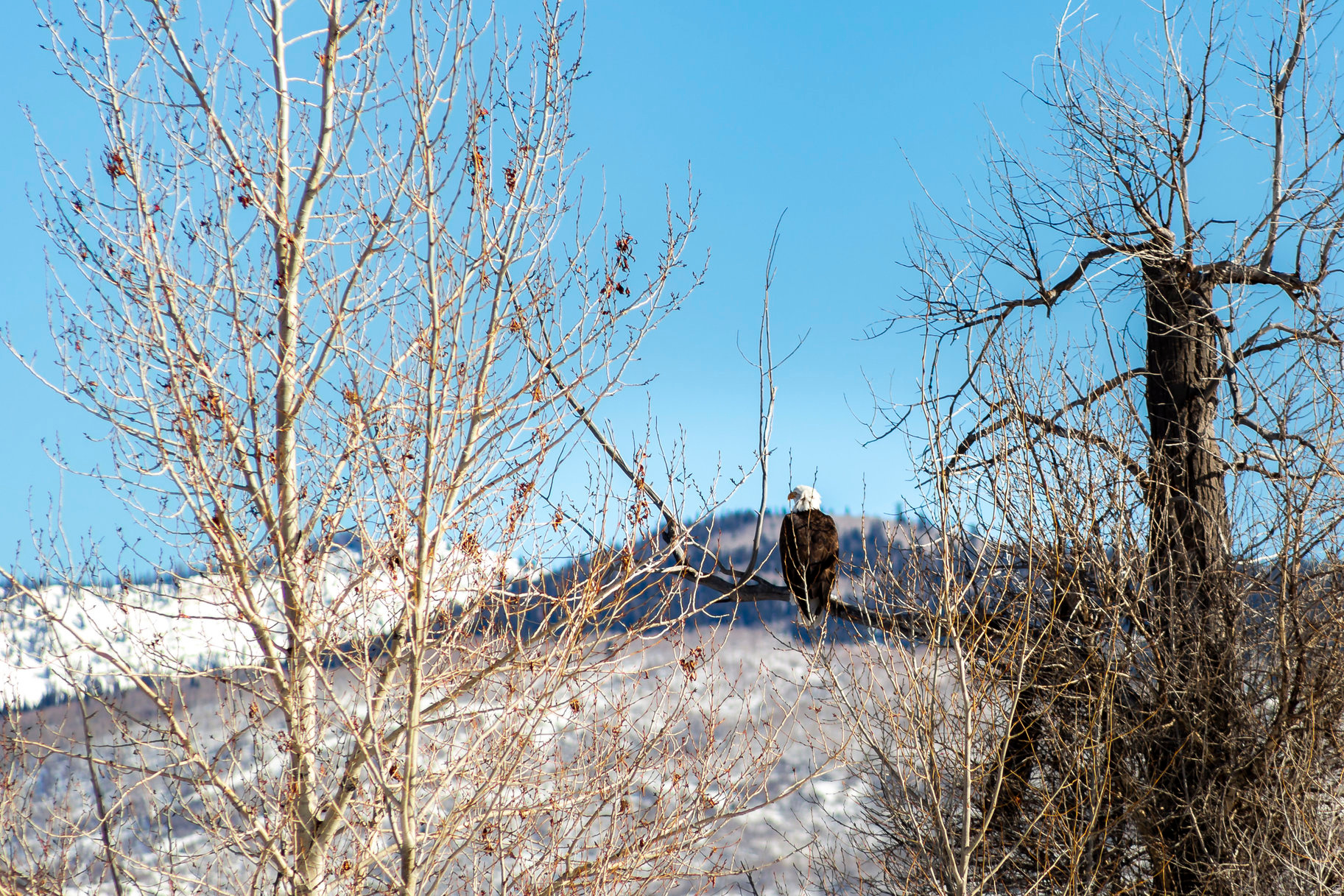 VICTORY RANCH - Residential