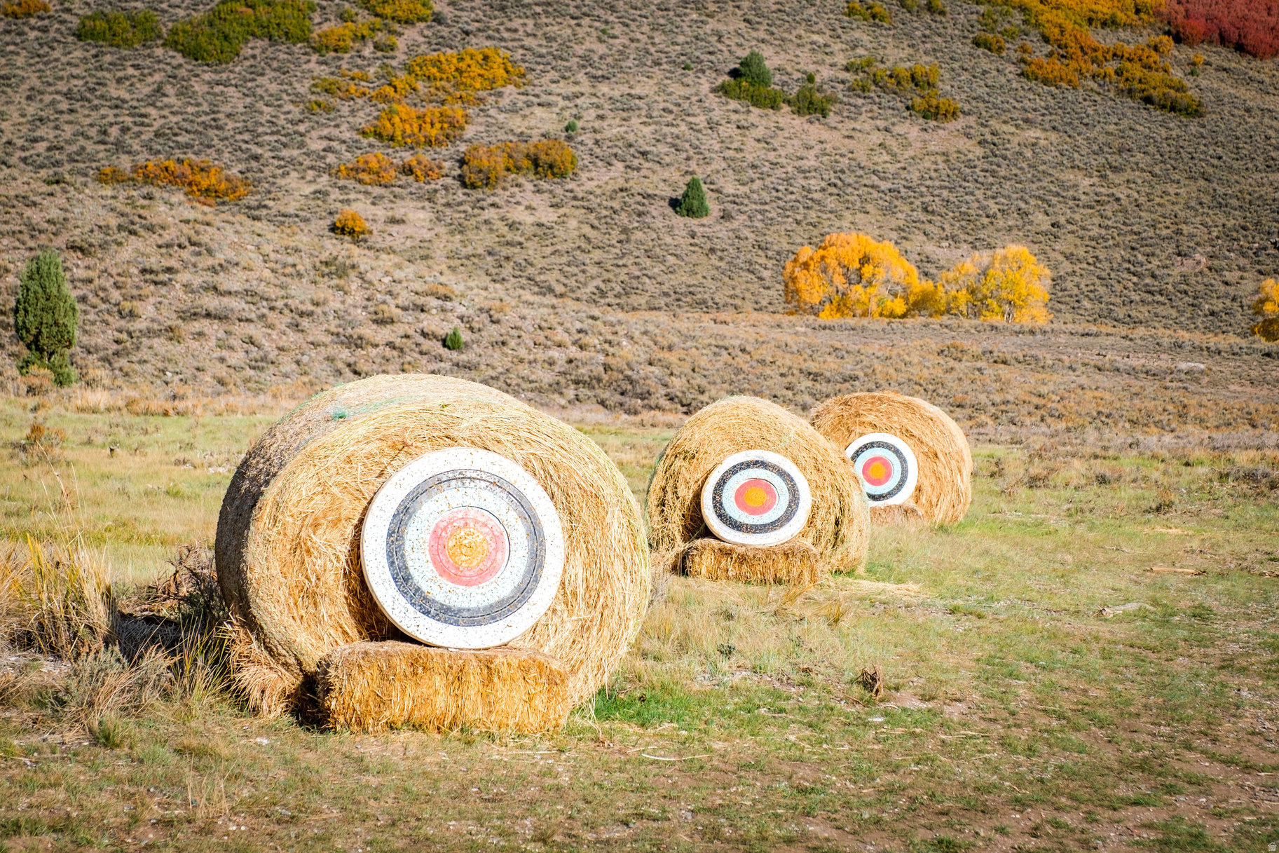 VICTORY RANCH - Residential