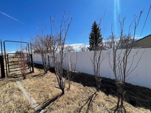 THYRENA BURDICK MINOR SUBD - Residential