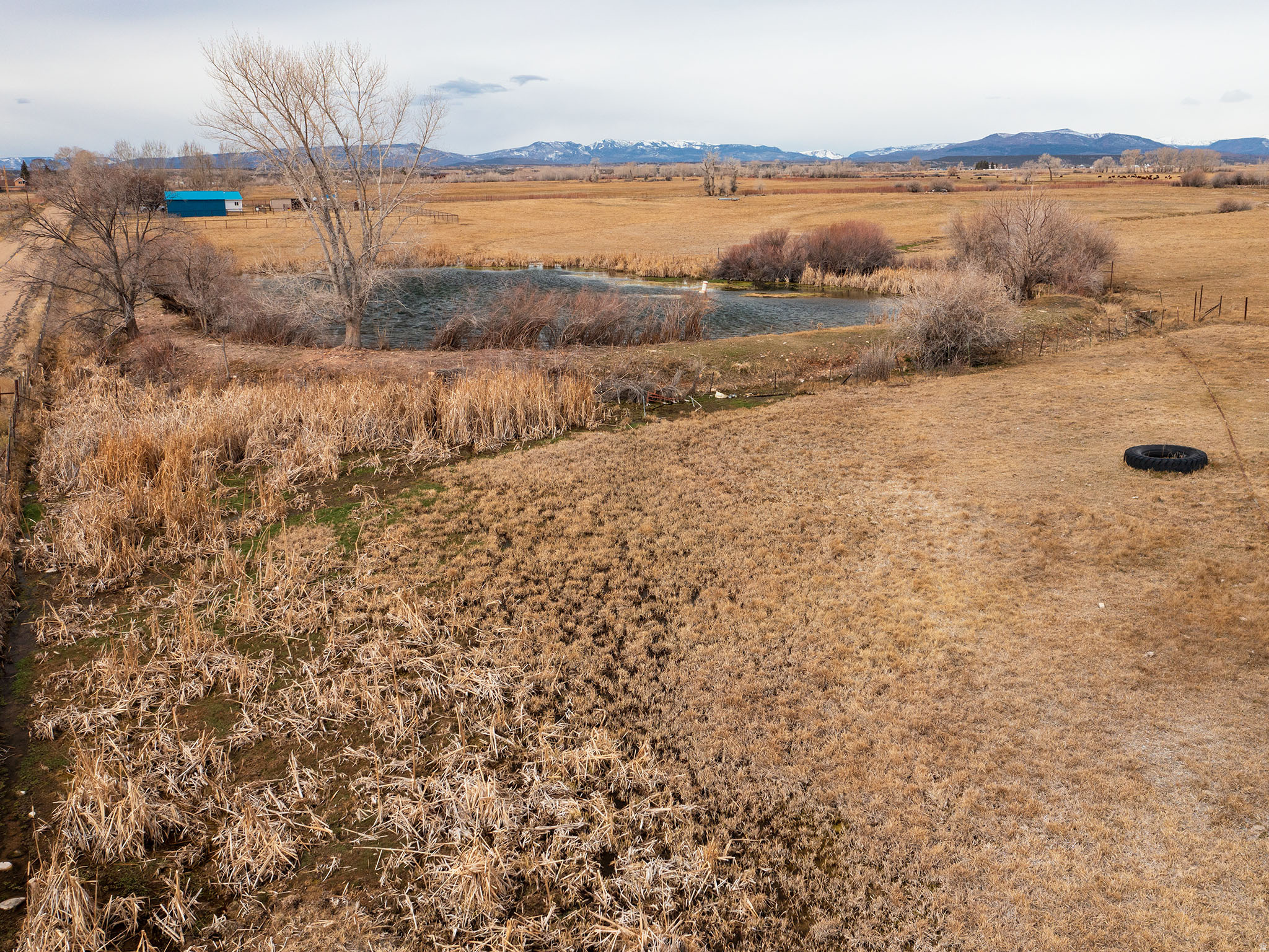 THYRENA BURDICK MINOR SUBD - Residential