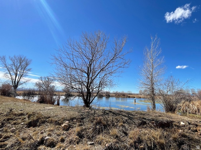 THYRENA BURDICK MINOR SUBD - Residential