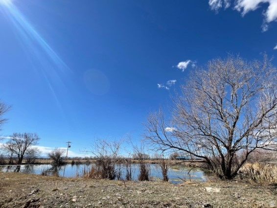 THYRENA BURDICK MINOR SUBD - Residential