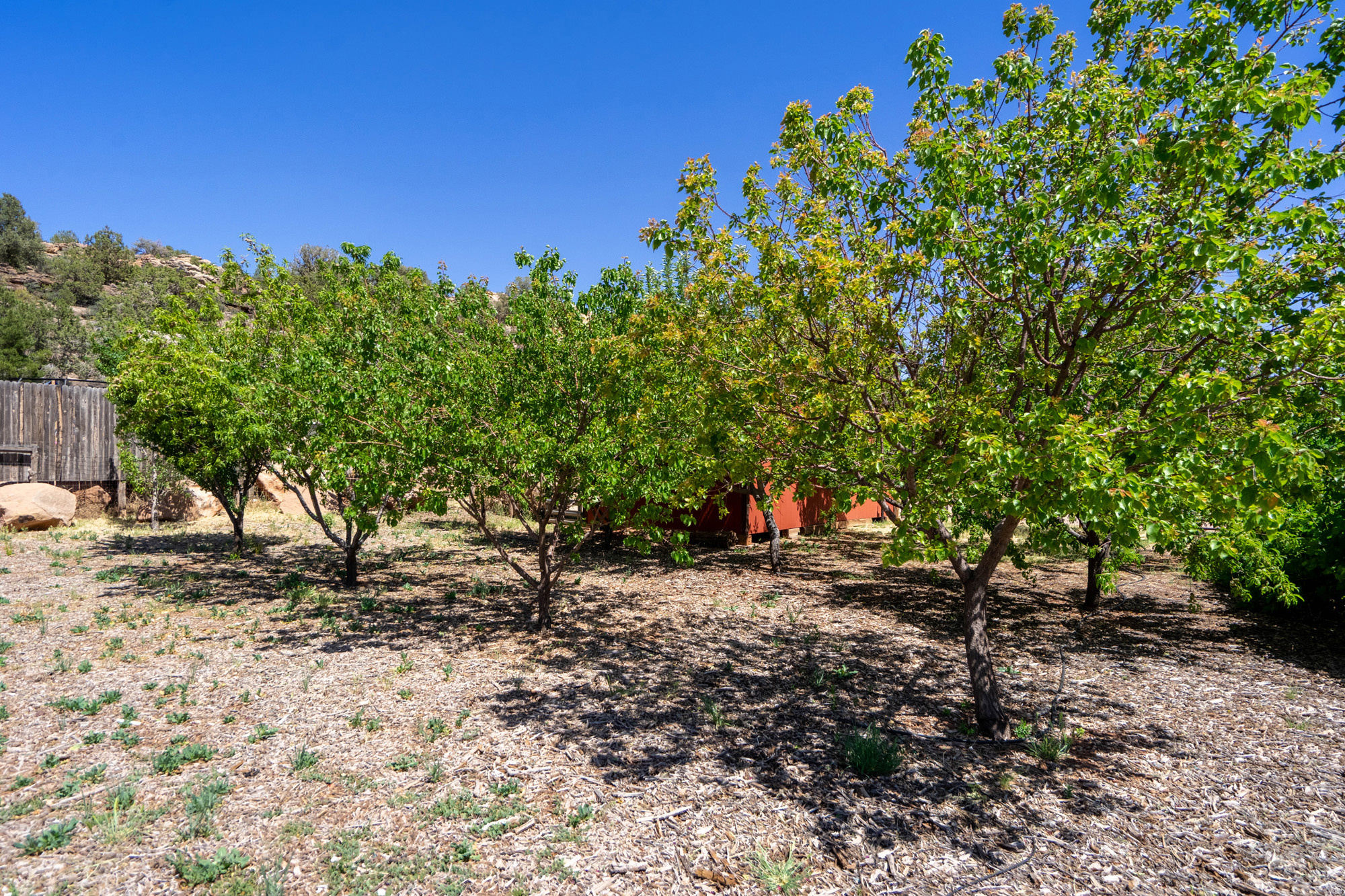 APPLE VALLEY RANCH 2 AMD - Residential