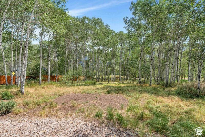 BEAVER SPRINGS - Residential