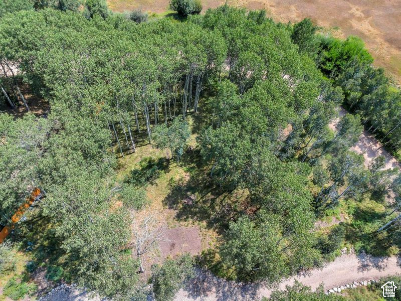 BEAVER SPRINGS - Residential